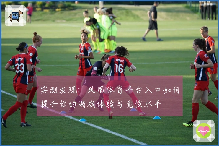 实测发现：凤凰体育平台入口如何提升你的游戏体验与竞技水平